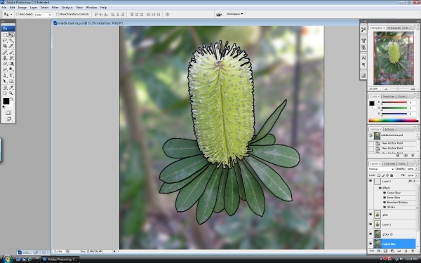 Creation of bud, flower, seed pods.: Step 6